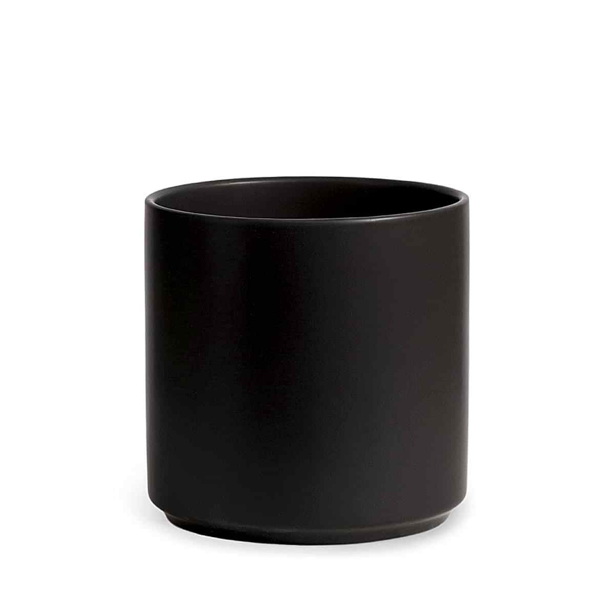 Bird of Paradise - Grande - buymebess.com