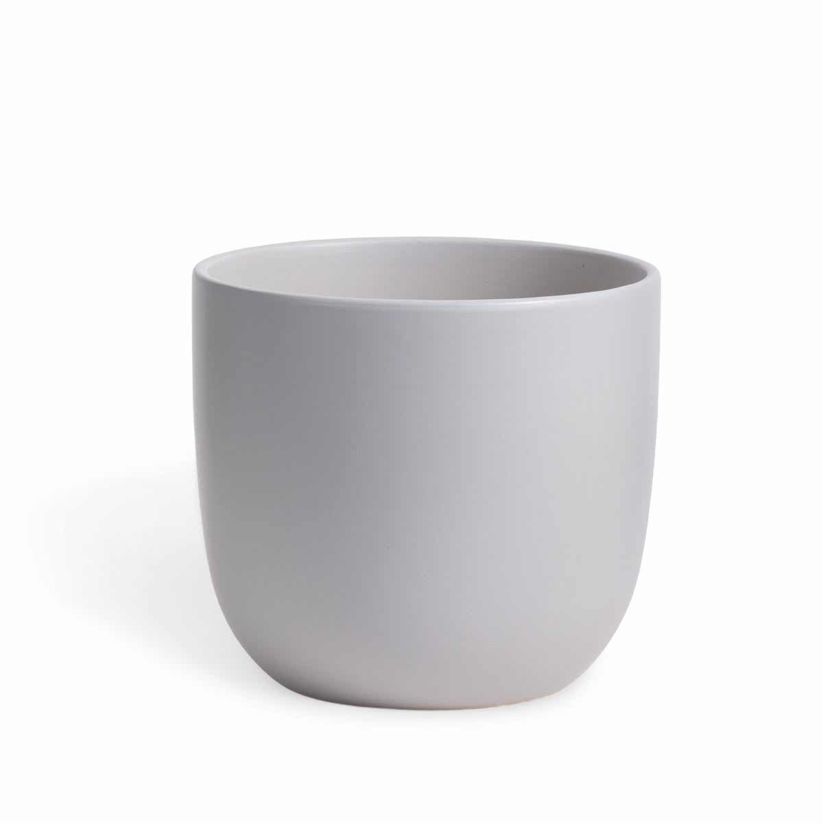 Bird of Paradise - Grande - buymebess.com