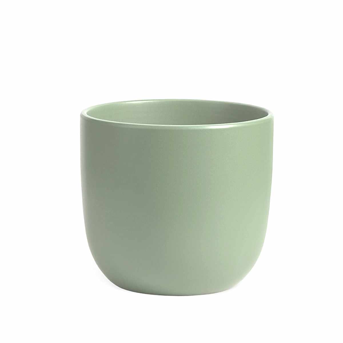 Bird of Paradise - Grande - buymebess.com