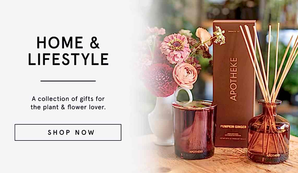 HOME & LIFESTYLE - buymebess.com