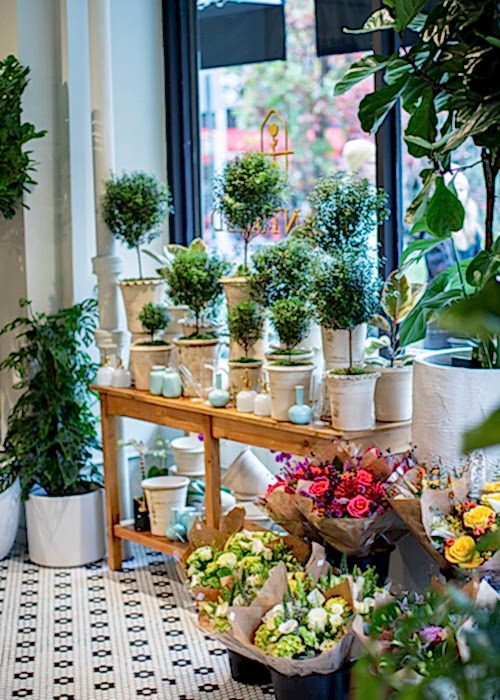 Plantshed 2nd Ave location