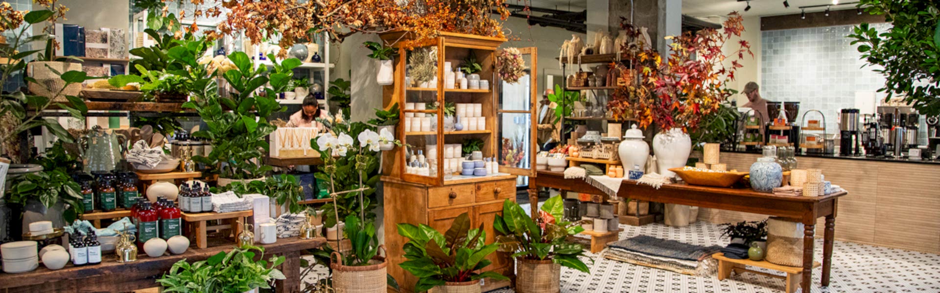 PlantShed 46 8th Avenue